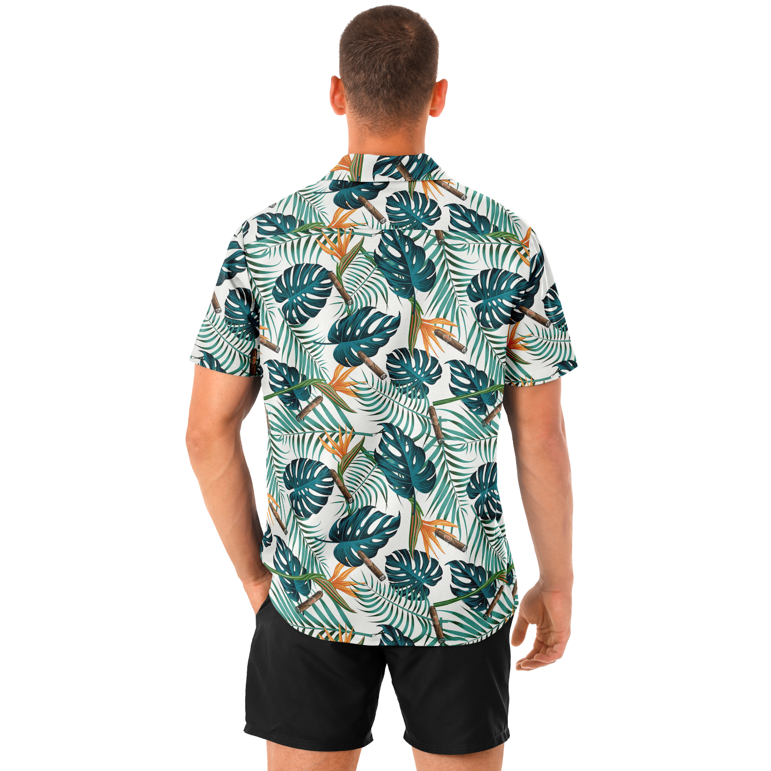 Tropical Smoke no.17
